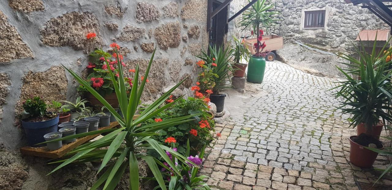 Branca Goncalves Belmonte Villa Belmonte  Buitenkant foto
