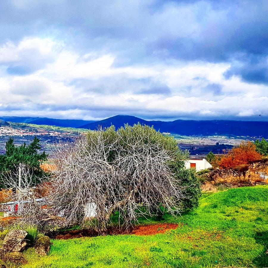 Branca Goncalves Belmonte Villa Belmonte  Buitenkant foto